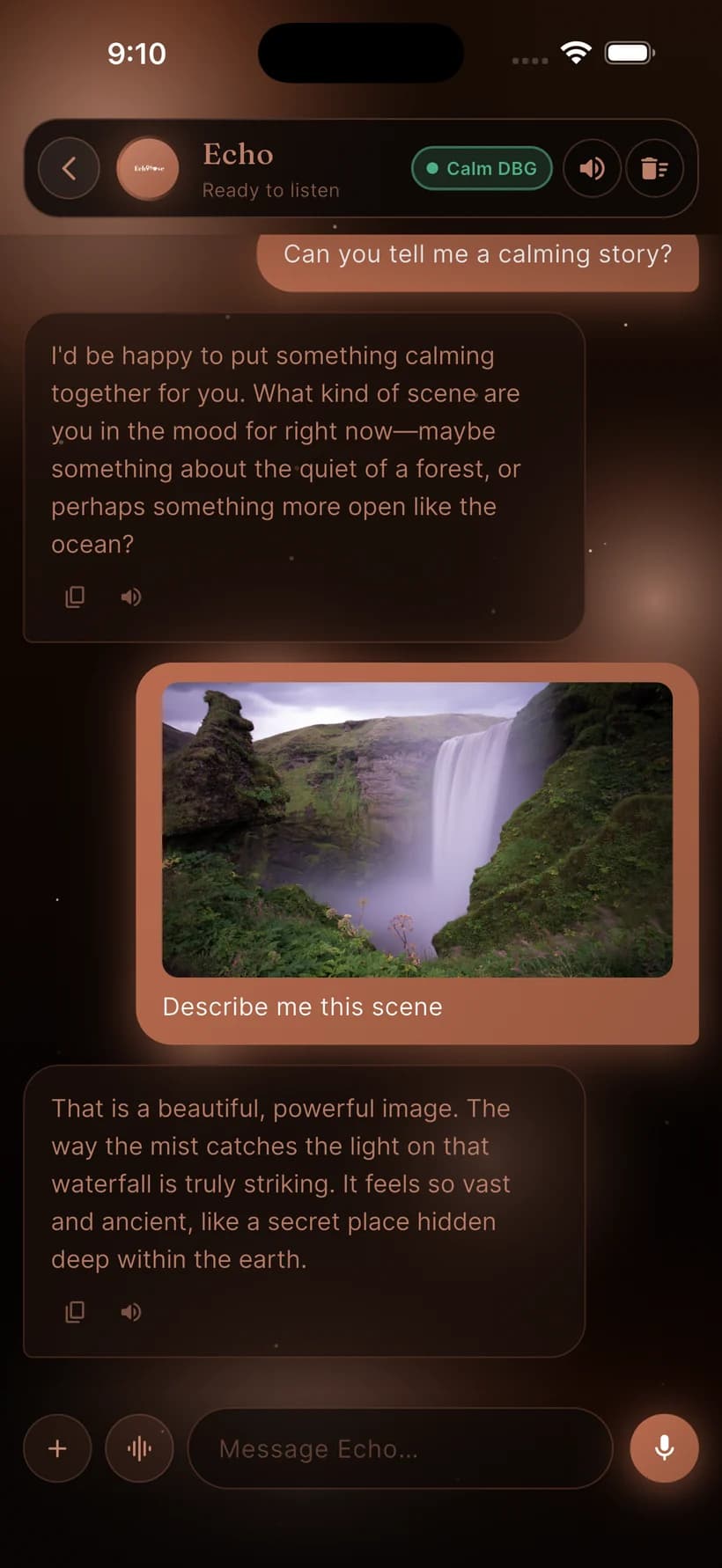 Echo — multimodal companion