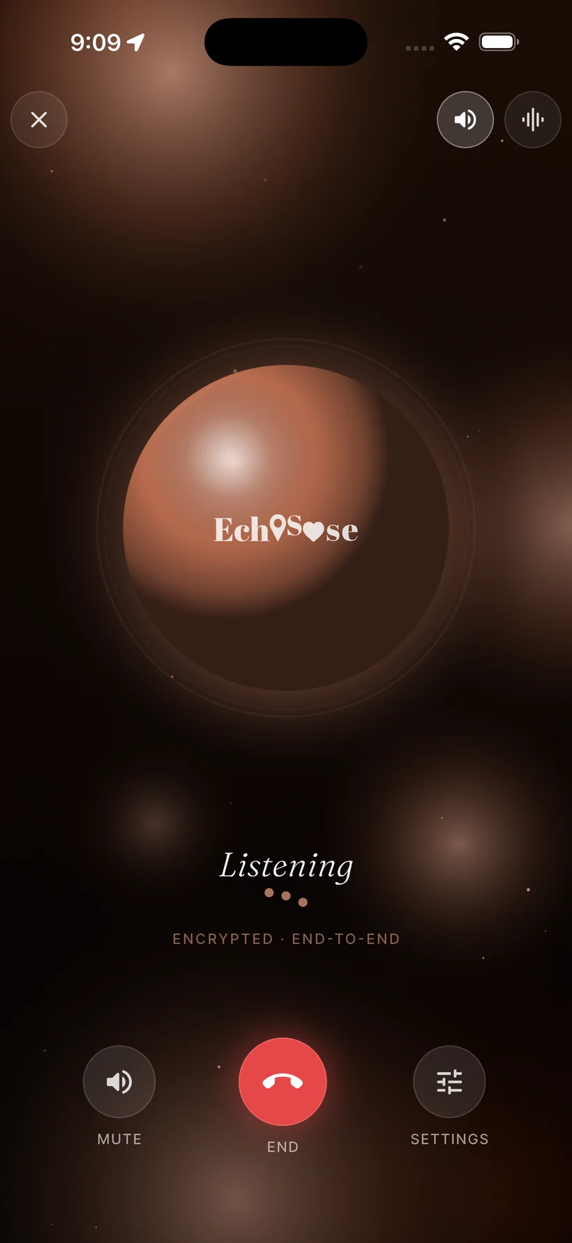 Echo — hands-free voice